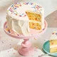 Confetti Cake & Cupcake Mix