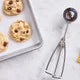 Deluxe Teaspoon Scoop