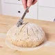 Sourdough Techniques: Seeds and Soakers