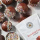 Cocoa 3-Pack