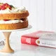King Arthur Baker's Companion