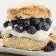 Blueberry Sour Cream Scone Mix