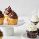 Cake and Frosting Pack