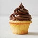 Golden Yellow Cake Mix