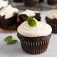 Cocoa 3-Pack